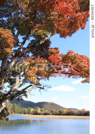 大沢池の秋の風景 大沢池の秋の風景 9056467