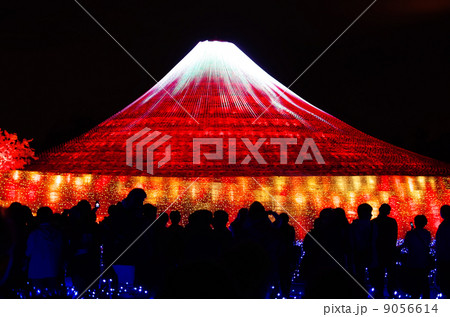 なばなの里ウインターイルミネーション 9056614