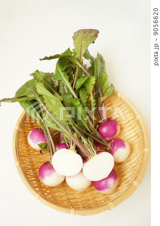 あやめ雪かぶ あやめ雪かぶ 9056620