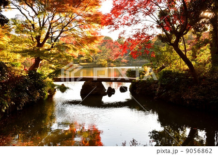 六義園の紅葉 六義園の紅葉 9056862