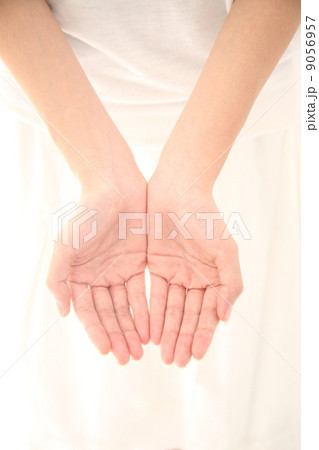 おもてなしの画像 9056957