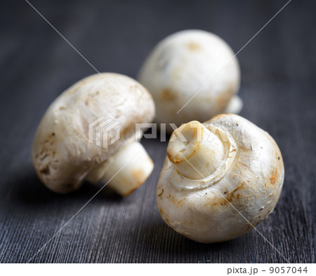 Fresh champignons on black wooden board 9057044