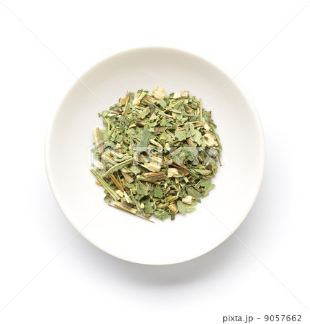 エキナセアリーフ 9057662