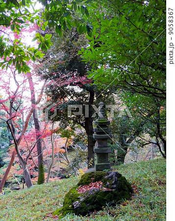 殿ヶ谷戸庭園 9058367