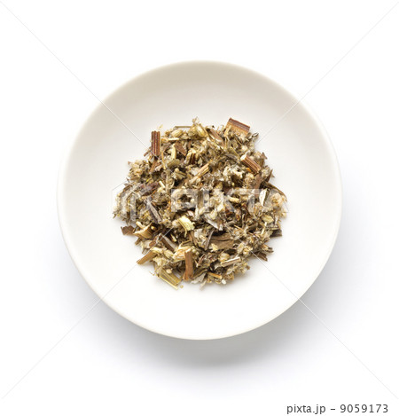 マグワート　ヨモギ 9059173