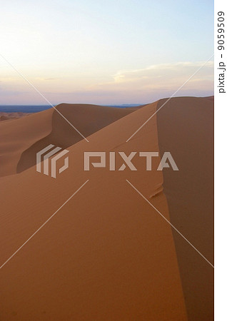 サハラ砂漠の砂丘 サハラ砂漠の砂丘 9059509