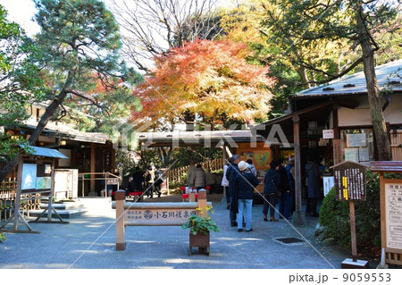 小石川後楽園 9059553