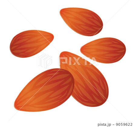 アーモンド 9059622