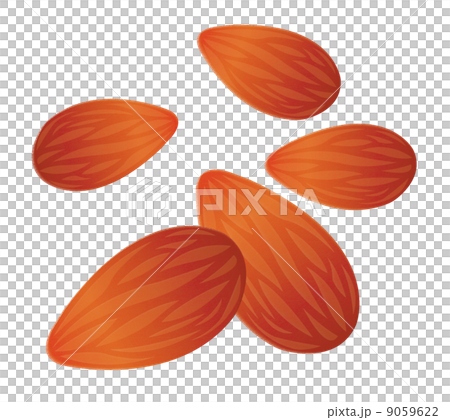 アーモンド 9059622