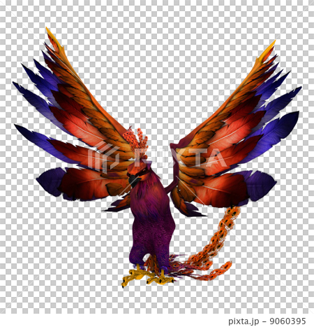 bird bird 9060395