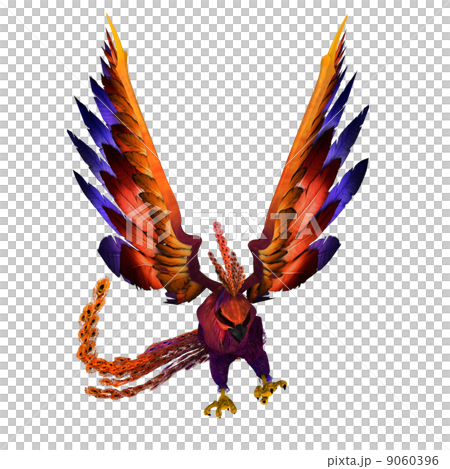 bird bird 9060396