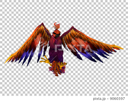 bird  9060397
