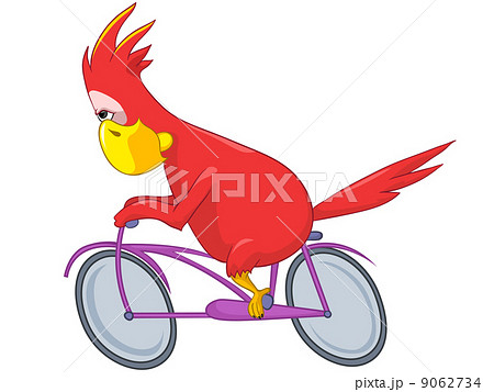 Funny Parrot. Biker. Funny Parrot. Biker. 9062734