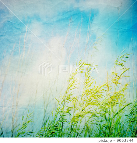 Grunge paper texture. abstract nature background Grunge paper texture. abstract nature background 9063544