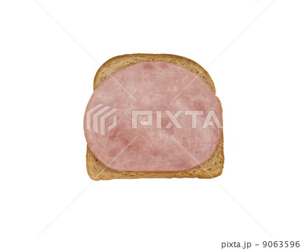sandwich isolated on white sandwich isolated on white 9063596
