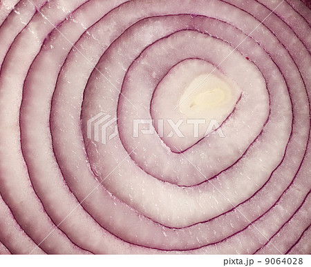 sliced red onion on white background 9064028