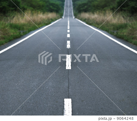 Straight tar road leading into the light Straight tar road leading into the light 9064248