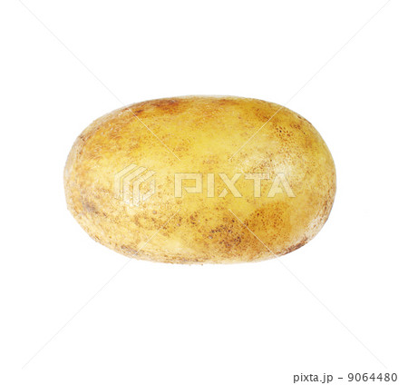 potato isolated on white background close up 9064480