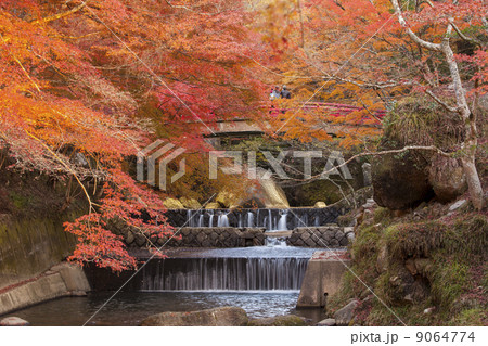 岩屋堂の紅葉 9064774