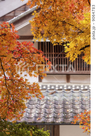 香嵐渓の紅葉 香嵐渓の紅葉 9064783
