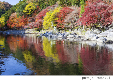 香嵐渓の紅葉 香嵐渓の紅葉 9064791
