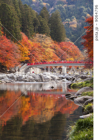 香嵐渓の紅葉 9064796