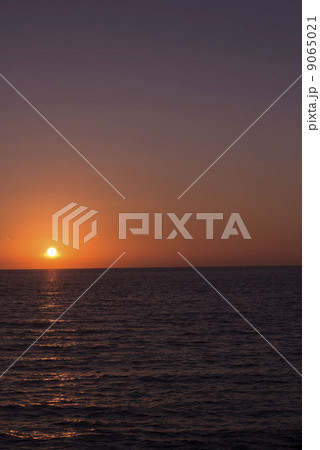 薄暮 薄暮 9065021