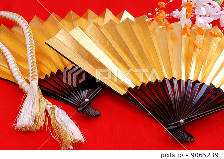 扇子 9065239