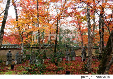 秋色の宝厳院 秋色の宝厳院 9065610