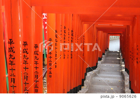 山王稲荷の鳥居 9065626