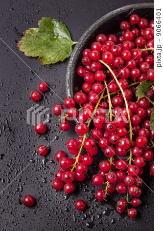 Red currant over black Red currant over black 9066401