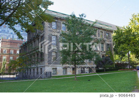 トロント大学 トロント大学 9066465