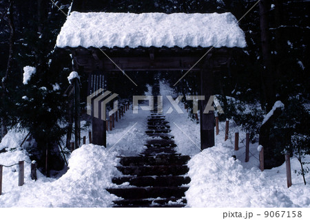京都　常照皇寺の冬 9067158
