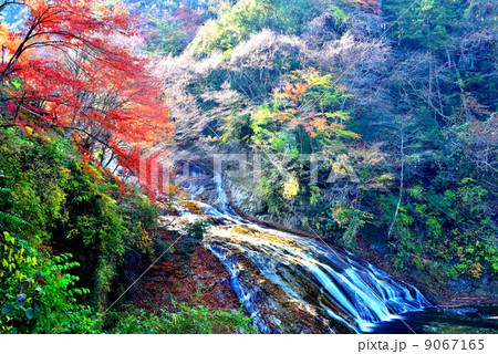 秋の養老渓谷・粟又の滝 9067165