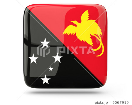 Square icon of papua new guinea Square icon of papua new guinea 9067919