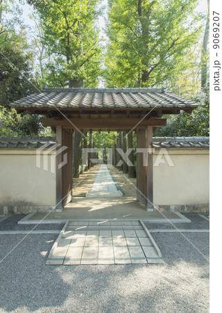 着物の若い女性 9069207