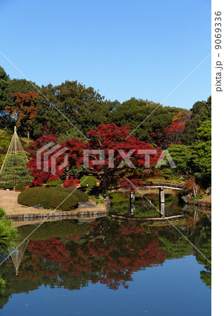 六義園のモミジの紅葉と湖面に映える景観 六義園のモミジの紅葉と湖面に映える景観 9069336