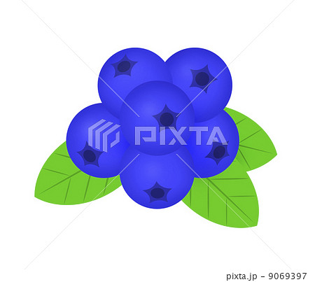 ブルーベリー 9069397