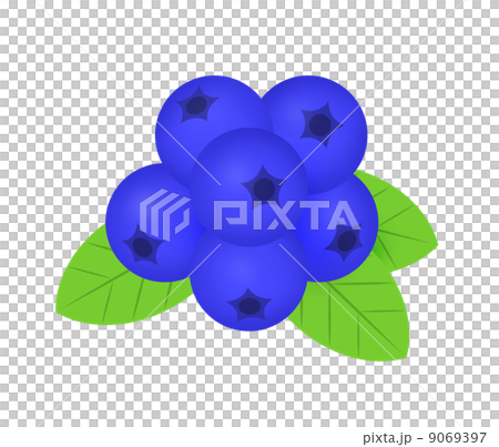 ブルーベリー 9069397