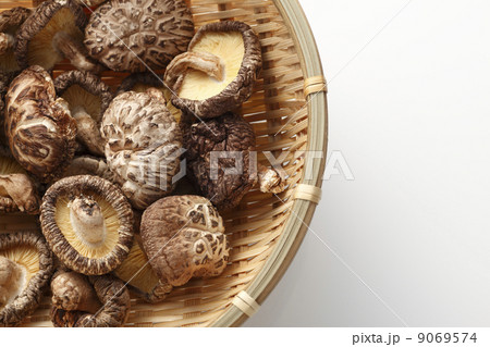 干し椎茸7 干し椎茸7 9069574