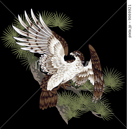 和柄の鷹のイラスト素材