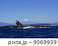 烏帽子岩と富士山 9069939