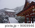 雪の鶴岡八幡宮 9069946