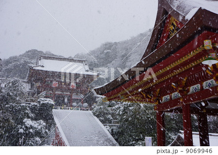 雪の鶴岡八幡宮 9069946