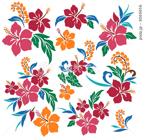 ハイビスカス 9069956