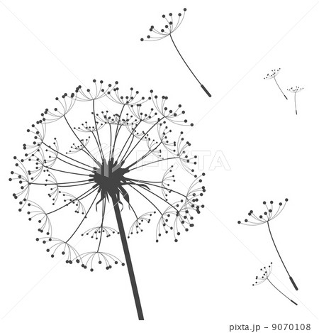 abstract dandelion 9070108