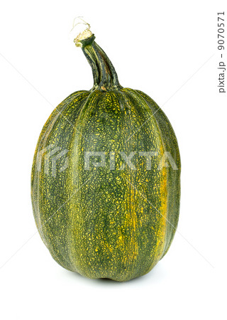 Green pumpkin 9070571