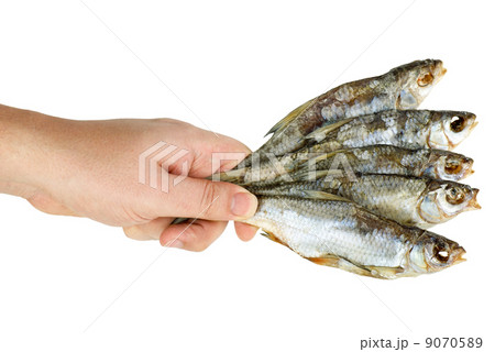 Hand hold few salted dried fishes Hand hold few salted dried fishes 9070589
