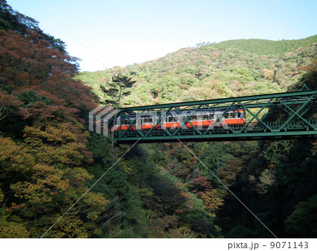 箱根登山鉄道　塔ノ沢駅付近 9071143