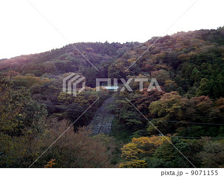箱根登山鉄道　塔ノ沢駅付近 9071155